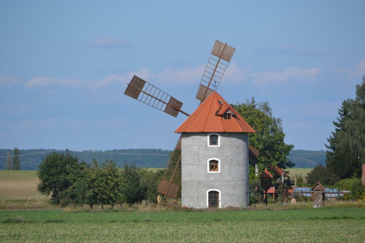 Adela's Czech Vsejany